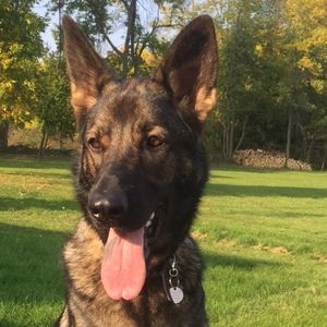 Meet your Posher, Charlotte